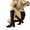 Black, variant on Cameland Fall/Winter Thick High Heels Women's Boots Trapezoid Headed Strap High Barrel Long Boots