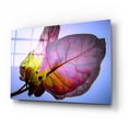 thumbnail image 2 of Epic Art 'Bougainvillea Leaf' by Pamela Plummer, Acrylic Glass Wall Art, 24"x16", 2 of 8