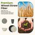 thumbnail image 4 of Homienly Kitchen 40-Piece Wheat Straw Dinnerware Set, Service for 8, Plates, Bowls & Cups, Microwave & Dishwasher Safe, Grey Stone, 4 of 8