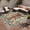 ARN025-TIGER GREEN, variant on DEORAB Outdoor Rug 8'X10' Chenille Patio Carpet Washable Non Slip Three-Layer Material Animal Print Rug Camping Outside RV Mat,Green