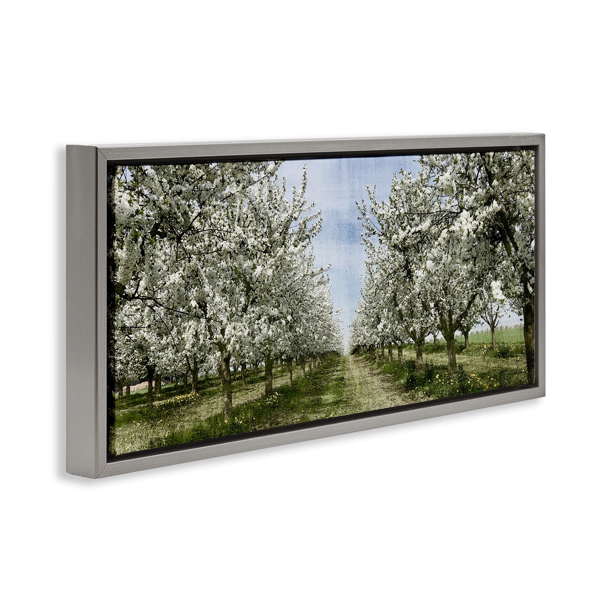 Stupell Industries Blooming White Tree Orchard Landscape Photography Gray Floater Framed Canvas Art Print Wall Art, 25 x 11