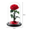 thumbnail image 6 of Eternal Rose in Glass Dome Romantic Aesthetic Artificial Eternal Rose Flower in Glass Dome Gift Mother's Day Supplies-Pink, 6 of 8