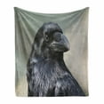thumbnail image 1 of Black Crow Soft Flannel Fleece Throw Blanket, Macro Photography Style Close up Portrait of Bird with Blurred Backdrop, Cozy Plush for Indoor and Outdoor Use, 60" x 80", Multicolor, by Ambesonne, 1 of 6