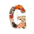thumbnail image 1 of EeaseMX 1 broche de aleación elegante, broche de cuello único, broche delicado con letras G., 1 of 7