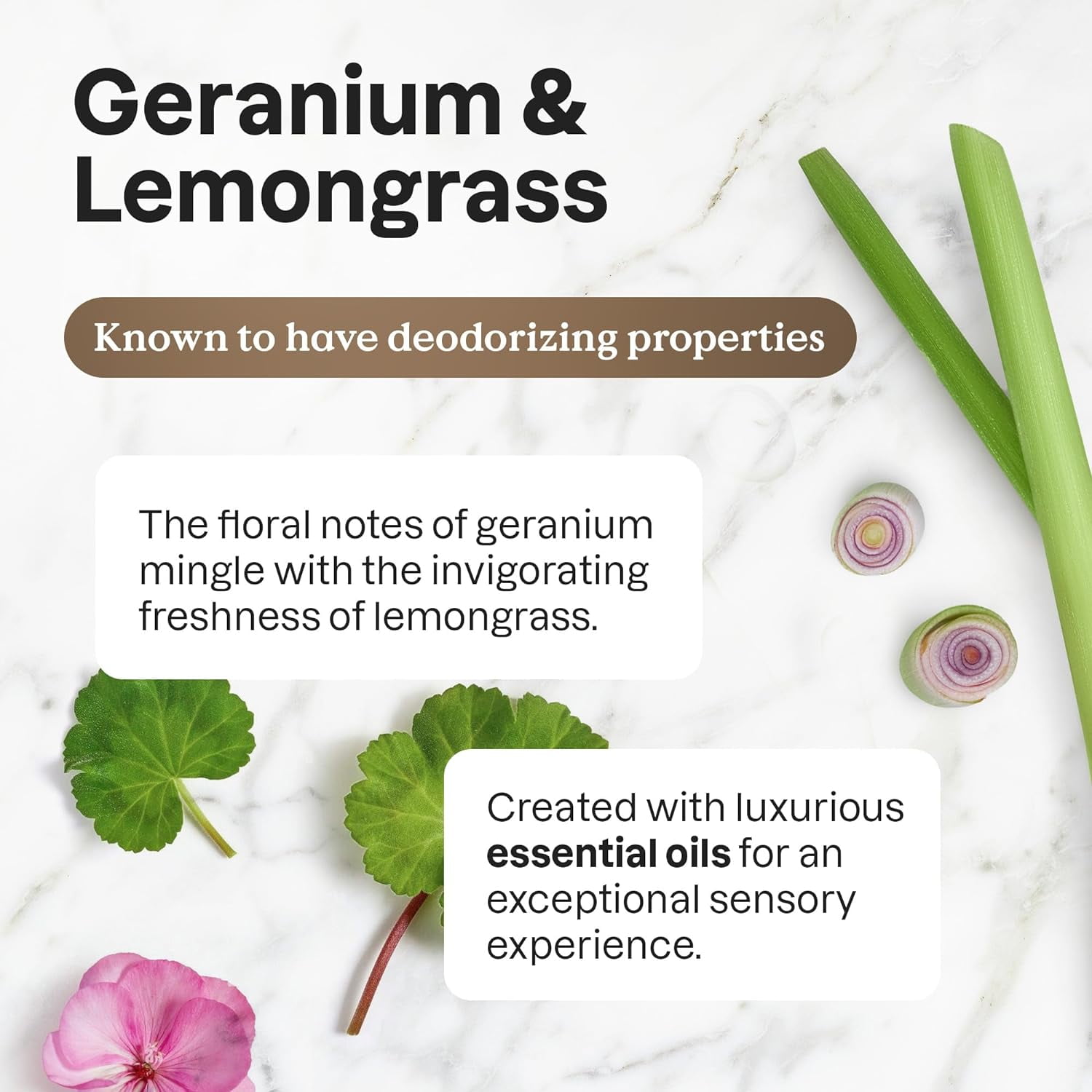 Dish Soap, EWG Verified, Plant and Mineral-Based Ingredients, Vegan and Cruelty-free Household Products, Geranium and Lemongrass, 16 Fl Oz