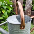 thumbnail image 6 of PRODUCT NAME, 6 of 7