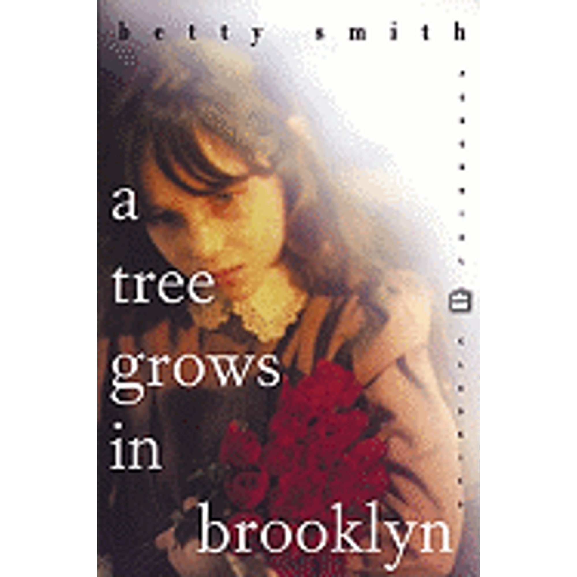 A Tree Grows in Brooklyn (PreOwned Paperback 9780060929886) by Betty