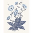 thumbnail image 3 of Wild Apple Portfolio 12x14 Black Modern Framed Museum Art Print Titled - Blue Botanical VI, 3 of 5