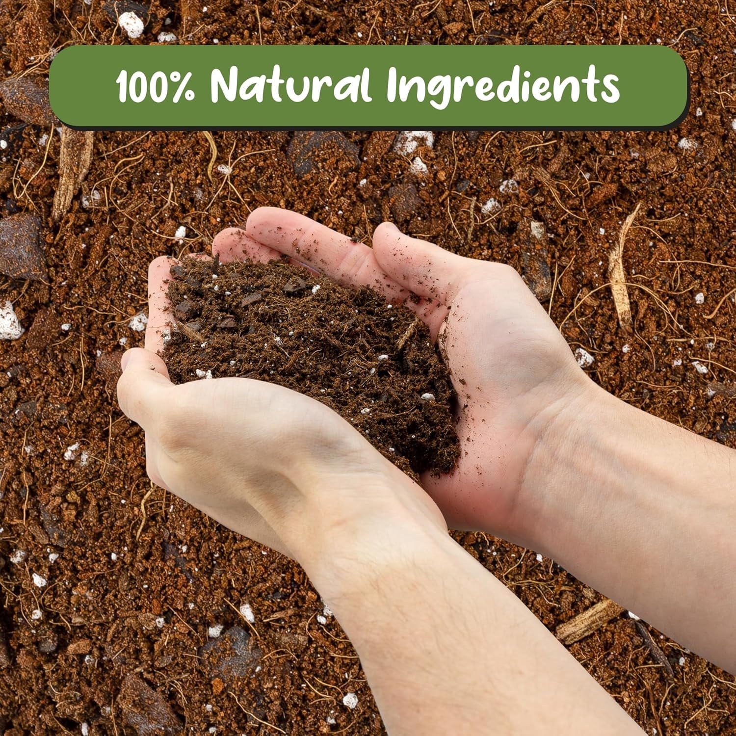 Aroid Plant Potting Mix (8 Quarts) for Pothos Devil's Ivy, ZZ Plant, Chinese Evergreen, Dumb Cane Philodendron, Syngonium, Alocasia, Colocasia Etc.