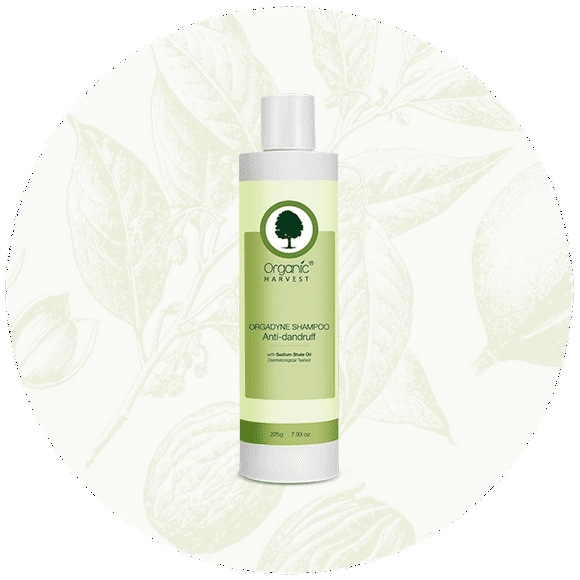 Organic Harvest Anti Dandruff Shampoo 225ml