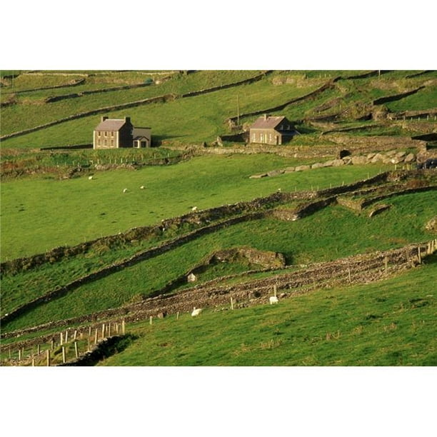 Posterazzi DPI1820813LARGE Slea Head Dingle Peninsula County Kerry Ireland - Affiche Aérienne de Paysage Agricole Imprimée par Richard Cummins, 36 x 24 - Grand
