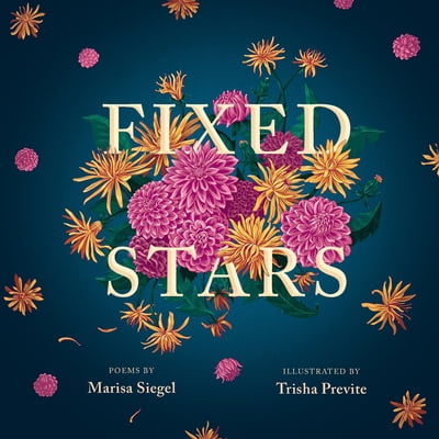 Pre-Owned Fixed Stars (Paperback) 1941681204 9781941681206