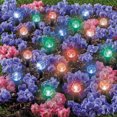 thumbnail image 3 of Collections Etc Solar Powered Bubble Path Lights - Set of 20, 3 of 4
