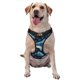 thumbnail image 1 of Fotbe Playful Whales Underwater Scene Arnés para Perro con Estampado –Chaleco Ajustable Acolchado con Asa de Control para Perros Grandes-Medium, 1 of 6