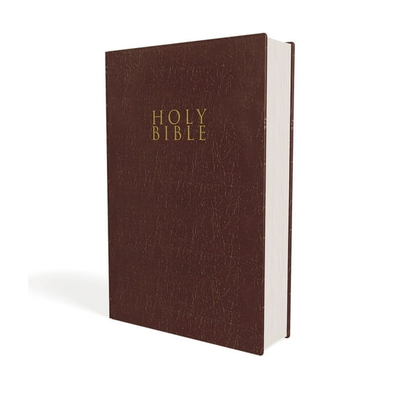 Pre-Owned Niv, Gift and Award Bible, Leather-Look, Burgundy, Red Letter Edition, Comfort Print (Paperback) 0310450365 9780310450368