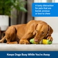 thumbnail image 2 of Juguete masticable PetSafe Busy Buddy Cravin' Corncob Dog sin BPA, 2 of 5