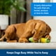 thumbnail image 2 of Juguete masticable PetSafe Busy Buddy Cravin' Corncob Dog sin BPA, 2 of 5