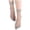 #224Gray, variant on Women's 10 Pairs Ankle High Sheer Nylon Socks Soft Tight Hosiery with Reinforced Toe