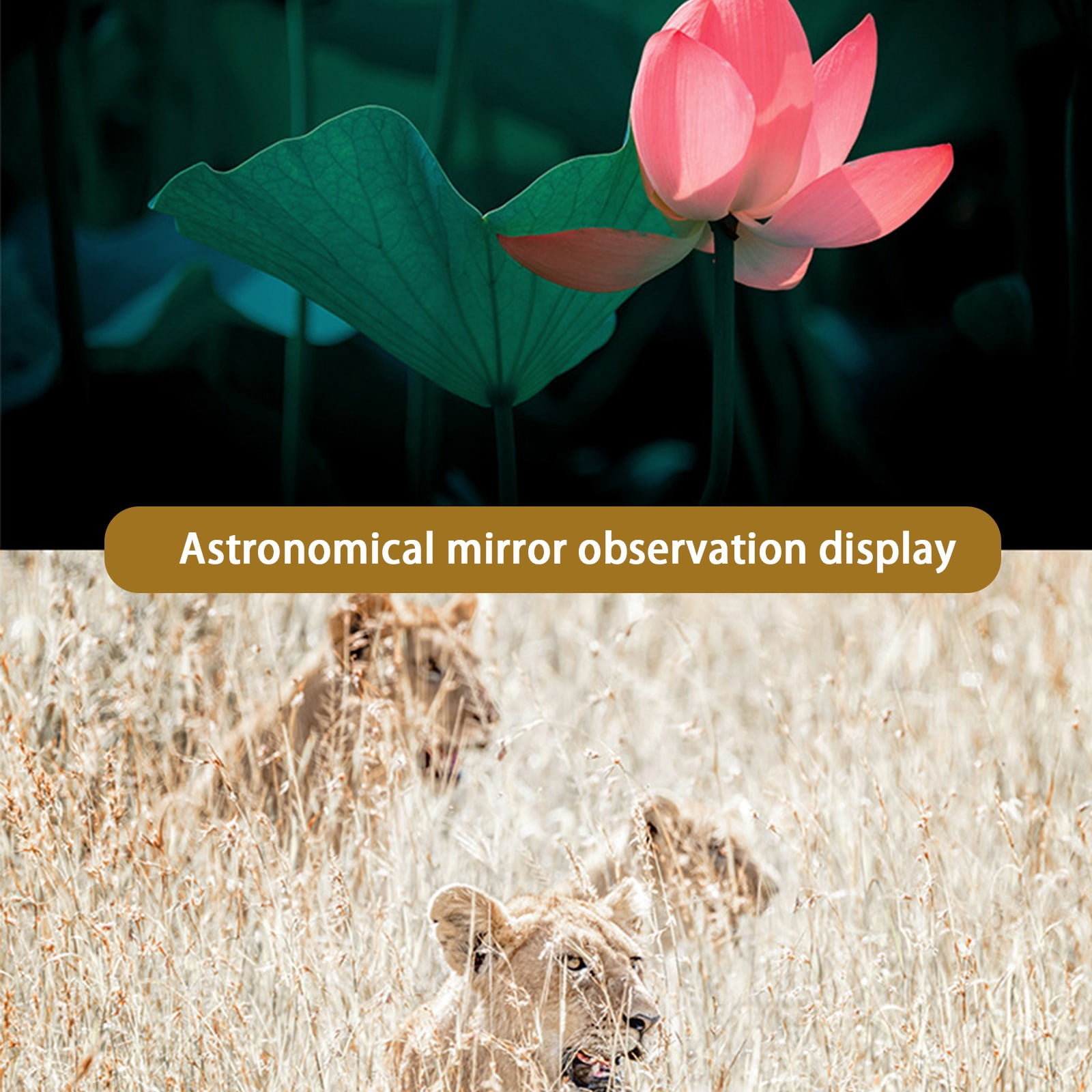 Telescope for Kids, Telescope for Adults Astronomy Gifts, Premium Refractor Telescope for Astronomical Exploration with Fully Coated Glass Optics,Portable Telescope for See Moon