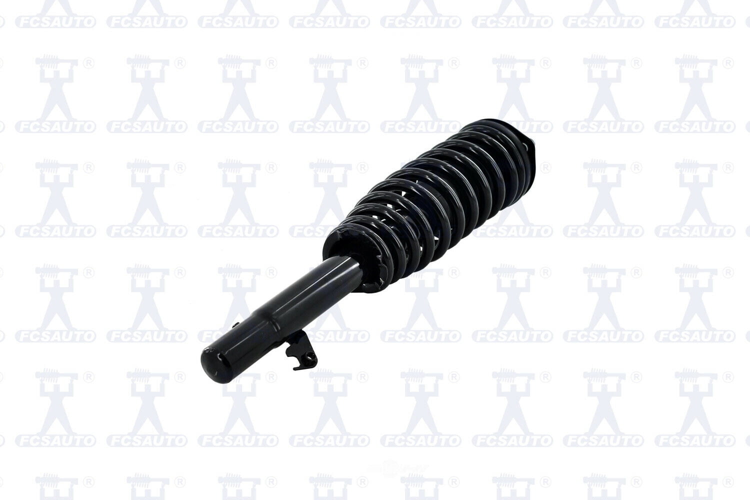 Suspension Strut and Coil Spring Assembly