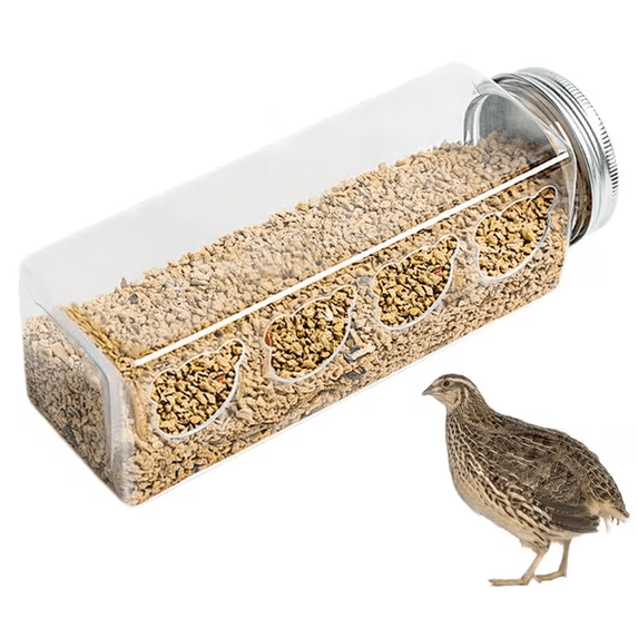 Quail Feeder Automatic Chicken Feeder Port Clear Plastic Feeding Cup, Small Bird Cage Feeder for Quails Finch Budgies