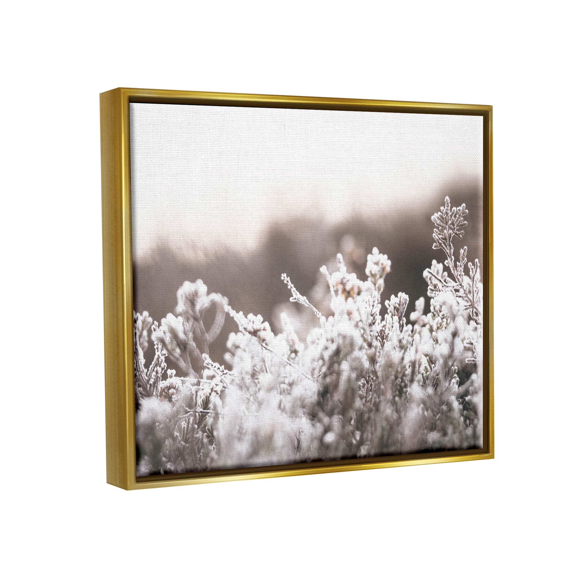 Stupell Industries Dainty Winter Blossoms Botanical Blooms Photograph Metallic Gold Floating Framed Canvas Print Wall Art, Design by Leah Straatsma