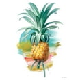 thumbnail image 3 of Seven Trees Design 12x14 Black Modern Framed Museum Art Print Titled - Pineapple I, 3 of 5