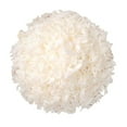 Shredded Coconut, 10 Pounds Unsweetened Coconut Flakes, Desiccated