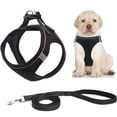 thumbnail image 4 of CSCHome Pet Harness and Leash Set Dog Cat Harness with Dog Cat Leash Comfortable Feel, Strong and Durable More Convenient to Go out and Prevent Pet Loss Suitable for All Pets, 4 of 5