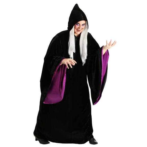 Plus Size Disney Snow White Witch Costume for Women