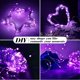 thumbnail image 4 of Mini LED Fairy Lights ZGWJ 20, funciona con pilas, 7 pies, 50 unidades, color morado, 4 of 6