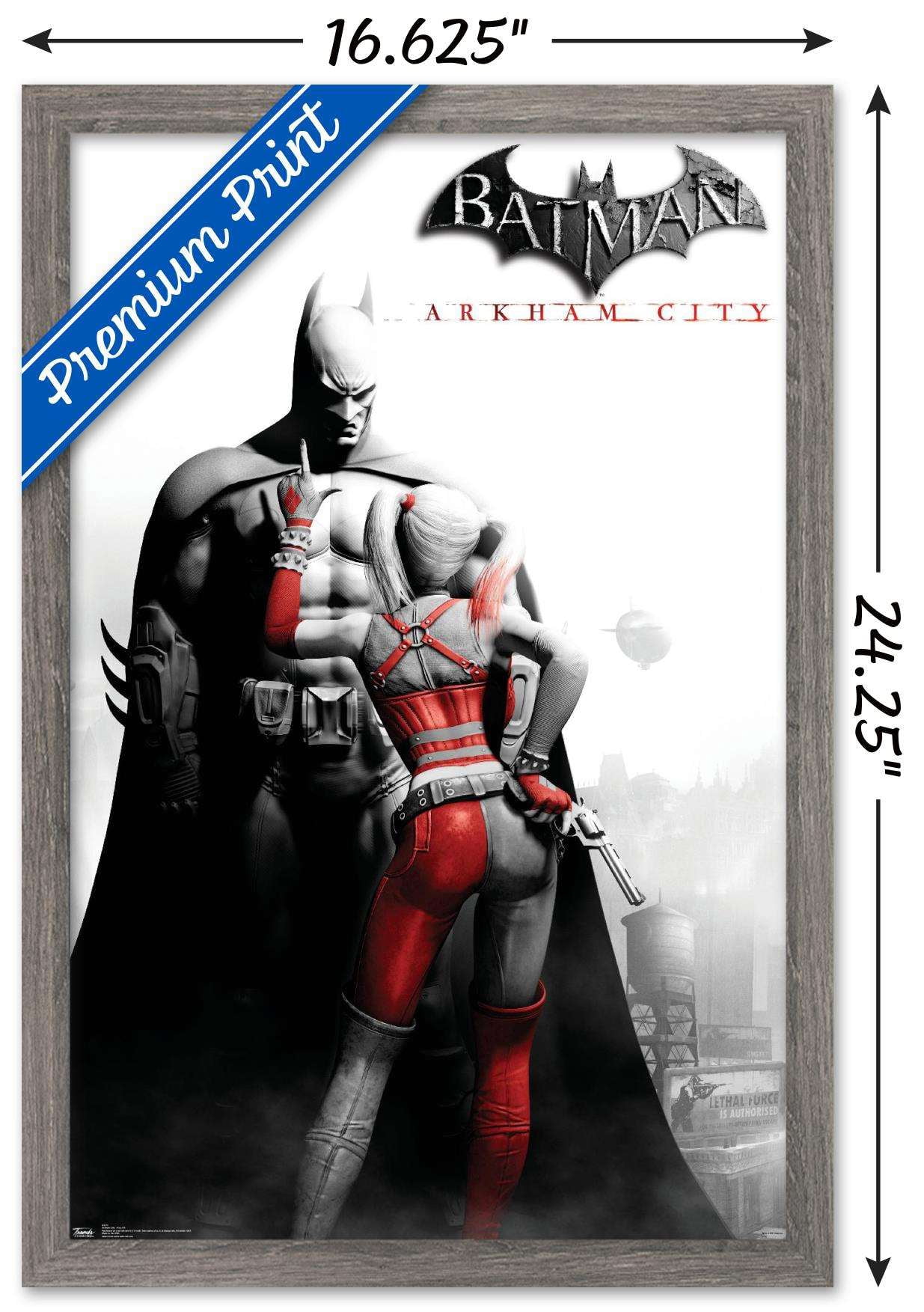 DC Comics VIdeo Game - Arkham City - Key Art Poster