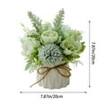 thumbnail image 3 of Bonsai Potted Succulent Desktop Greenery Decoration with Hanging Feature, 3 of 7