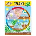 thumbnail image 2 of Trend Enterprises T-38179BN 17 x 22 in. 6 Piece Life Cycle of a Plant Learning Chart, 2 of 2