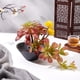 thumbnail image 5 of Jarrón de cerámica negro con forma de cuenco, soporte floral, maceta de cerámica redonda para Ikebana Kenzan, flor de rana para arreglos florales., 5 of 6
