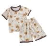 YP03-Brown