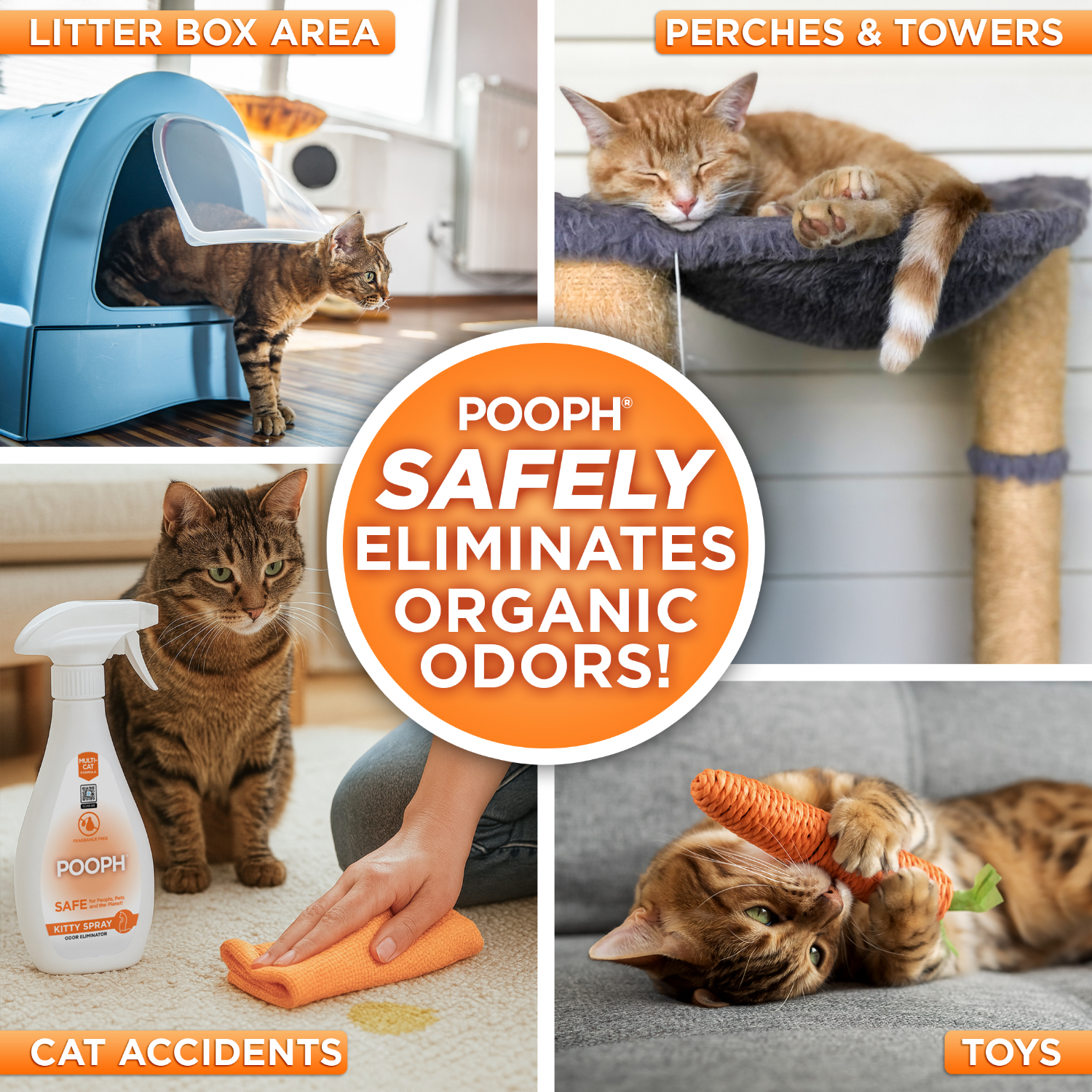 How to Remove Cat Poop Odor: Easy Tips for a Fresh Home