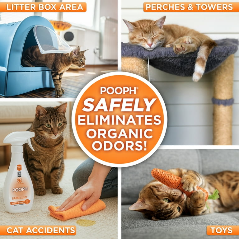 What to Put in Cat Litter Box for Smell: Ultimate Odor Control Tips