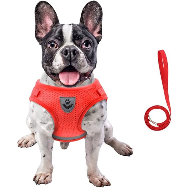 LAICAIW Dog Harness and Leash Set, No Pull Reflective Adjustable Pet Soft Mesh Chest Vest Harnesses Easy Control for Small Medium Dogs and Cats Outdoor Walking