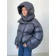 thumbnail image 4 of Parka gruesa y cálida para mujer, Chaqueta corta de manga larga, abrigo elegante impermeable, prendas exteriores, color plateado sólido, novedad de invierno, 2024, 4 of 5