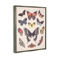 thumbnail image 4 of Stupell Industries Cottage Moths & Butterflies Animals & Insects Painting Gray Floater Framed Art Print Wall Art, 25 x 31, 4 of 10