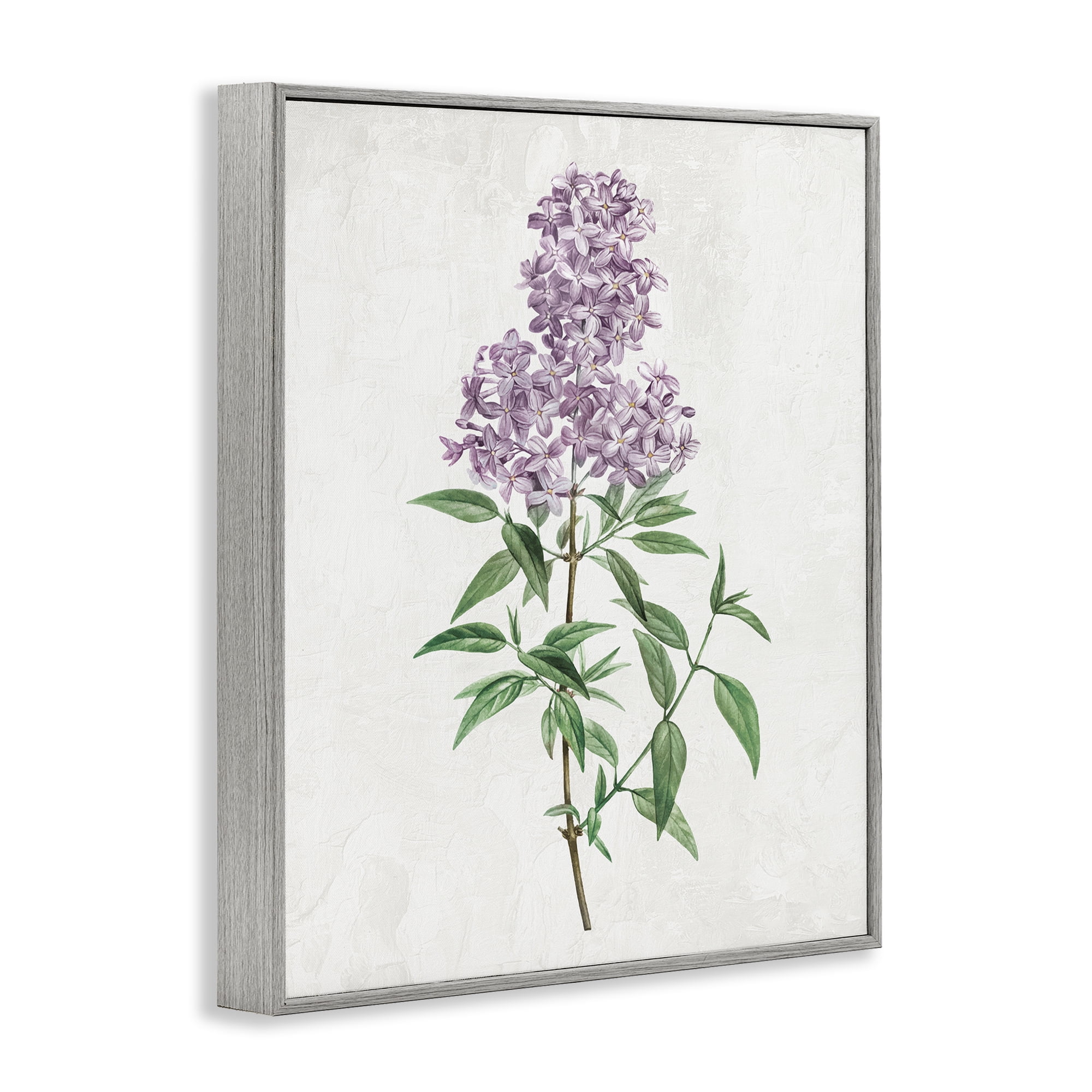 Stupell Industries Lilac Blossoms Blooms Gray Framed Giclee Art, design by Kim Allen