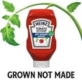 thumbnail image 2 of Heinz No Sugar Added Tomato Ketchup, 2 of 5