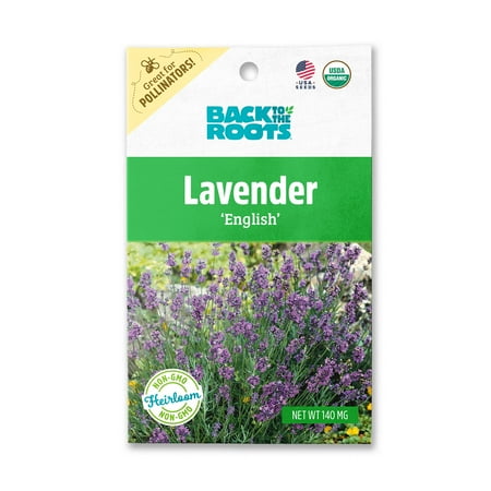 Back to the Roots Organic English Lavender Flower Seeds  1 Packet