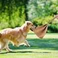 thumbnail image 2 of LAICAIW Leather Puppy Bite Rag Dog Bite Toy with Strong Handle Training Bite Tug Toy Interactive Toys for Small Medium Large Dogs Grip Development Police Dog and Bite Inhibition Best for Tug of War, 2 of 7