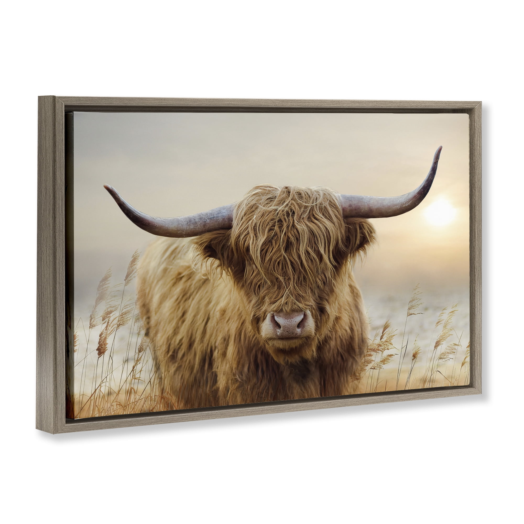 Stupell Industries Highland Cow & Warm Sunset Brown Framed Floater Canvas Wall Art, design by CAD Designs