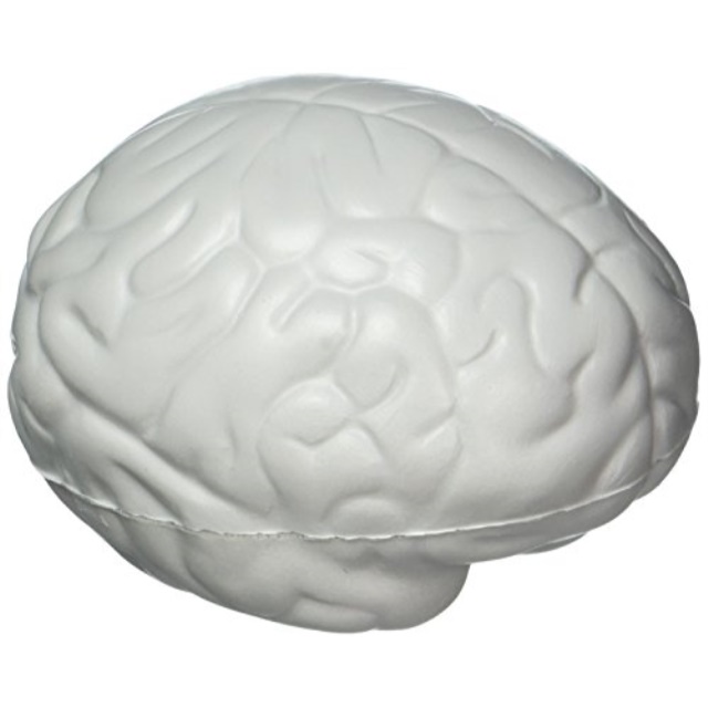 brain stress ball walmart