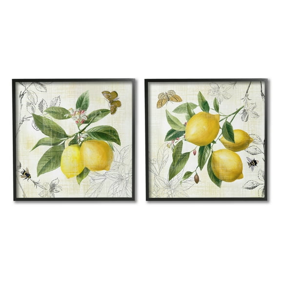 Stupell Industries Distressed Country Lemons Food & Beverage Painting Black Framed Art Print Wall Art, 12 x 12, Set of 2