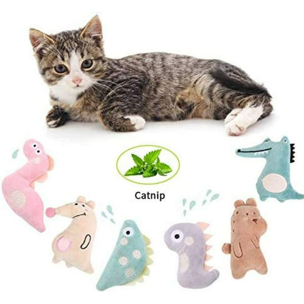 Peluche jouet chat herbe a chat seche,jeux chat interactif jouet