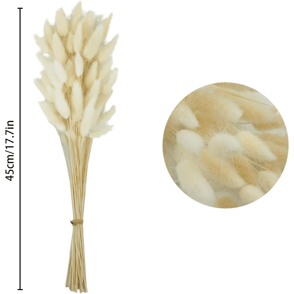 Bunny Tail Pampas Grass Dried Flowers for Vase Boho Flowers Dried Wedding Decor Dry Flowers for Vase Wedding Decorations Supplies - Valentine's Day Decoration(White 50PCS+Pink 50PCS)